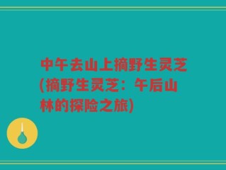 中午去山上摘野生灵芝(摘野生灵芝：午后山林的探险之旅)