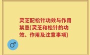 灵芝配松针功效与作用禁忌(灵芝和松针的功效、作用及注意事项)