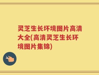 灵芝生长坏境图片高清大全(高清灵芝生长环境图片集锦)