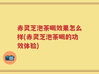 赤灵芝泡茶喝效果怎么样(赤灵芝泡茶喝的功效体验)