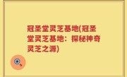 冠圣堂灵芝基地(冠圣堂灵芝基地：探秘神奇灵芝之源)