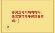 赤灵芝可以炖鸡吃吗(赤灵芝可用于炖鸡食用吗？)
