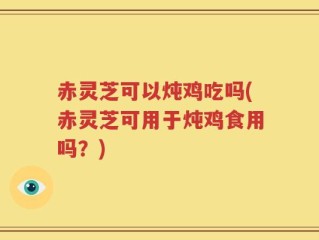 赤灵芝可以炖鸡吃吗(赤灵芝可用于炖鸡食用吗？)