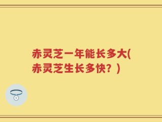 赤灵芝一年能长多大(赤灵芝生长多快？)