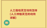 人工栽培灵芝功效怎样(人工种植灵芝的功效详解)