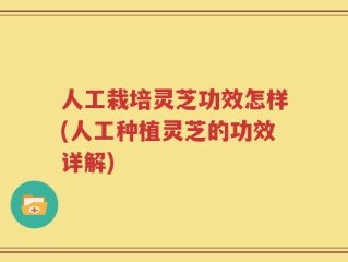 人工栽培灵芝功效怎样(人工种植灵芝的功效详解)