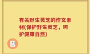 有关野生灵芝的作文素材(保护野生灵芝，呵护健康自然)
