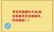 灵芝双喜图片大全(超全精美灵芝双喜图片，尽在眼前！)