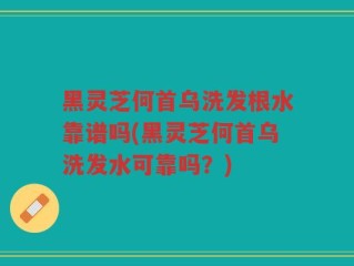 黑灵芝何首乌洗发根水靠谱吗(黑灵芝何首乌洗发水可靠吗？)