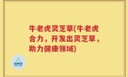 牛老虎灵芝草(牛老虎合力，开发出灵芝草，助力健康领域)