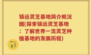 镇远灵芝基地简介概况图(探索镇远灵芝基地：了解世界一流灵芝种植基地的发展历程)