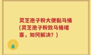 灵芝孢子粉大便黏马桶(灵芝孢子粉致马桶堵塞，如何解决？)
