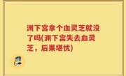 渊下宫拿个血灵芝就没了吗(渊下宫失去血灵芝，后果堪忧)