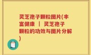 灵芝孢子颗粒图片(丰富健康 ｜ 灵芝孢子颗粒的功效与图片分解)