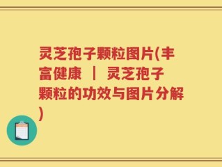灵芝孢子颗粒图片(丰富健康 ｜ 灵芝孢子颗粒的功效与图片分解)