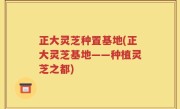 正大灵芝种置基地(正大灵芝基地——种植灵芝之都)