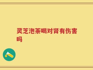 灵芝泡茶喝对肾有伤害吗