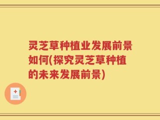 灵芝草种植业发展前景如何(探究灵芝草种植的未来发展前景)