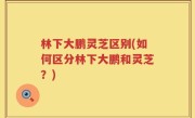 林下大鹏灵芝区别(如何区分林下大鹏和灵芝？)