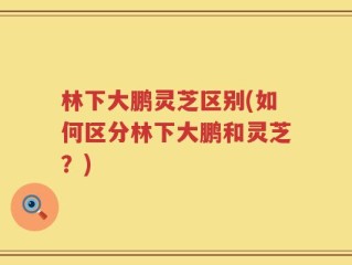 林下大鹏灵芝区别(如何区分林下大鹏和灵芝？)