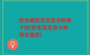 野生破壁灵芝孢子粉哪个好(野生灵芝孢子粉排名推荐)