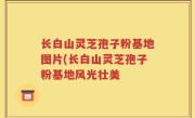 长白山灵芝孢子粉基地图片(长白山灵芝孢子粉基地风光壮美