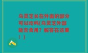 乌灵芝长在外面的部分可以吃吗(乌灵芝外部能否食用？解答在这里！)