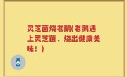 灵芝菌烧老鹅(老鹅遇上灵芝菌，烧出健康美味！)