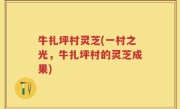 牛扎坪村灵芝(一村之光，牛扎坪村的灵芝成果)