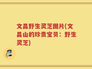 文昌野生灵芝图片(文昌山的珍贵宝贝：野生灵芝)
