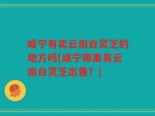 咸宁有卖云南白灵芝的地方吗(咸宁哪里有云南白灵芝出售？)