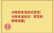 小陈的生活日记灵芝(小陈生活日记：灵芝的神奇效果)