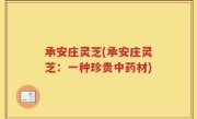 承安庄灵芝(承安庄灵芝：一种珍贵中药材)