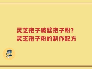 灵芝孢子破壁孢子粉？灵芝孢子粉的制作配方