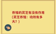 养殖的灵芝有没有作用(灵芝养殖：功效有多大？)