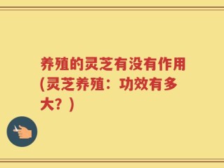 养殖的灵芝有没有作用(灵芝养殖：功效有多大？)
