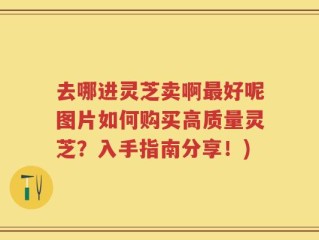 去哪进灵芝卖啊最好呢图片如何购买高质量灵芝？入手指南分享！)