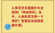 人参灵芝文案图片大全搞笑(「神仙草药」当中，人参和灵芝哪一个更好？答案在这组搞笑图片里)