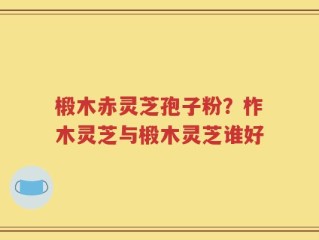 椴木赤灵芝孢子粉？柞木灵芝与椴木灵芝谁好
