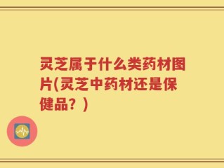 灵芝属于什么类药材图片(灵芝中药材还是保健品？)