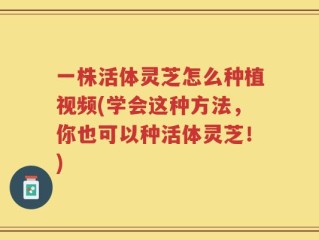 一株活体灵芝怎么种植视频(学会这种方法，你也可以种活体灵芝！)