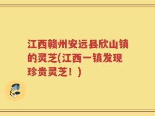 江西赣州安远县欣山镇的灵芝(江西一镇发现珍贵灵芝！)