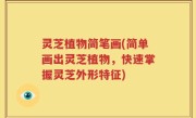 灵芝植物简笔画(简单画出灵芝植物，快速掌握灵芝外形特征)