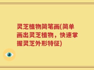 灵芝植物简笔画(简单画出灵芝植物，快速掌握灵芝外形特征)