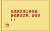 云南紫灵芝出售信息(云南售紫灵芝，更健康！)