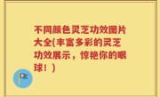 不同颜色灵芝功效图片大全(丰富多彩的灵芝功效展示，惊艳你的眼球！)