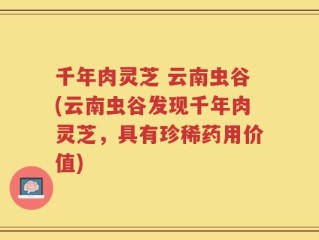 千年肉灵芝 云南虫谷(云南虫谷发现千年肉灵芝，具有珍稀药用价值)