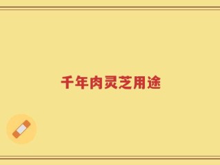 千年肉灵芝用途
