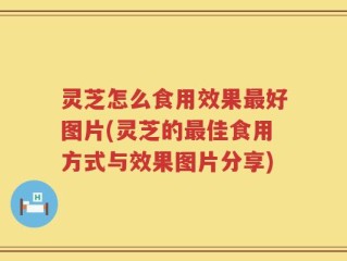 灵芝怎么食用效果最好图片(灵芝的最佳食用方式与效果图片分享)