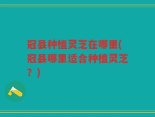 冠县种植灵芝在哪里(冠县哪里适合种植灵芝？)